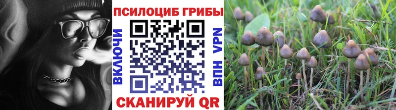 купить  сайты  Арсеньев  Галлюциногенные грибы мухоморы 